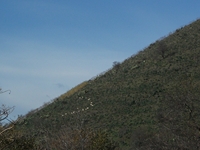 nte Mojo-30122011 130